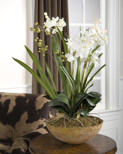 Uttermost Accessories Uttermost Moth Orchid Planter House of Isabella UK