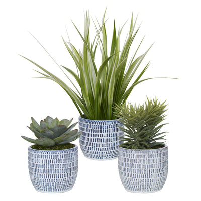 Uttermost Accessories Uttermost Puebla Greenery in Blue & White Pots, S/3 House of Isabella UK