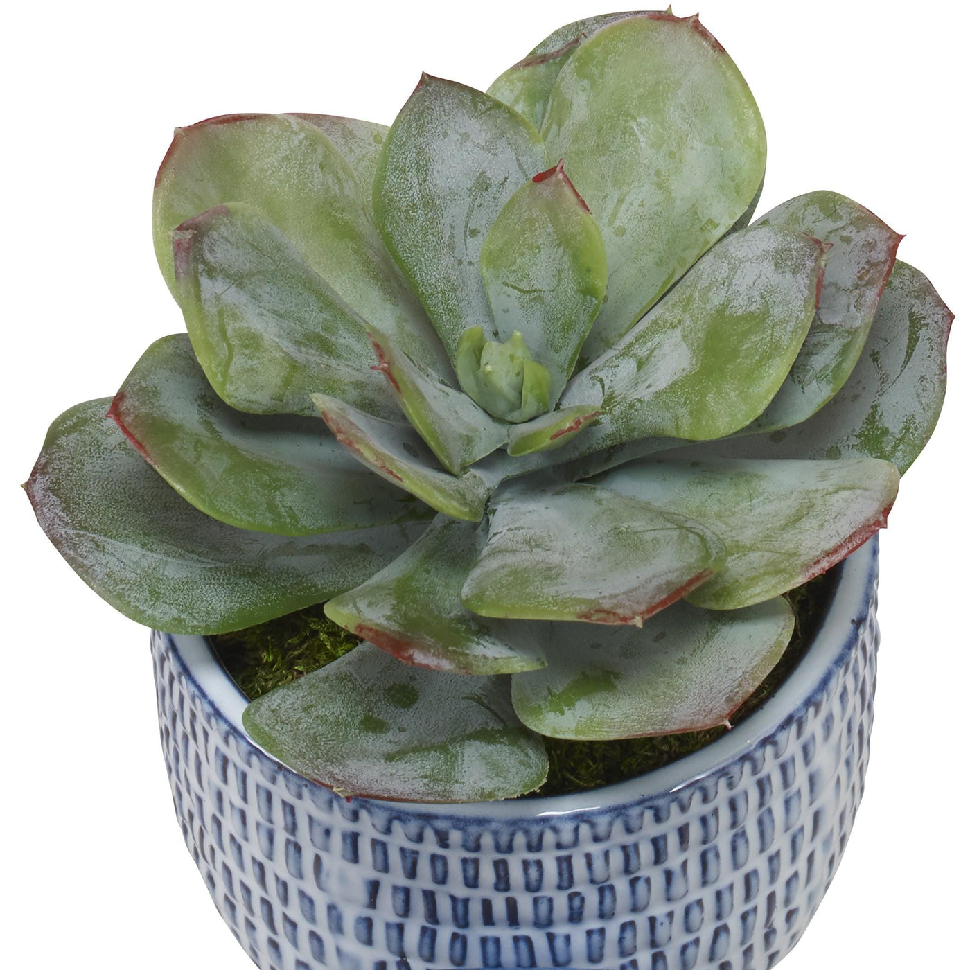 Uttermost Accessories Uttermost Puebla Greenery in Blue & White Pots, S/3 House of Isabella UK