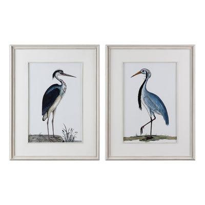 Uttermost Accessories Uttermost Shore Birds Framed Prints S/2 House of Isabella UK