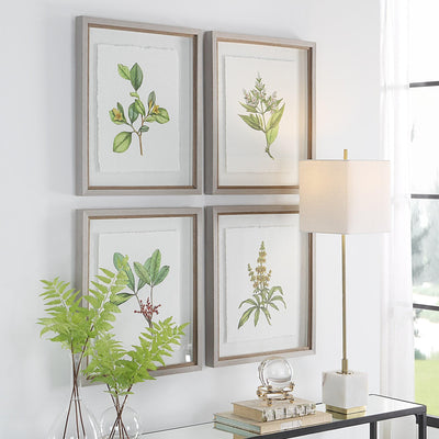 Uttermost Accessories Wildflower Study Framed Prints, S/4 House of Isabella UK