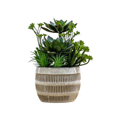 Potted Succulents Ceramic Pot