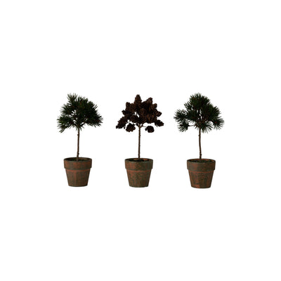 Potted Pine Cone Trees Set of 3pk