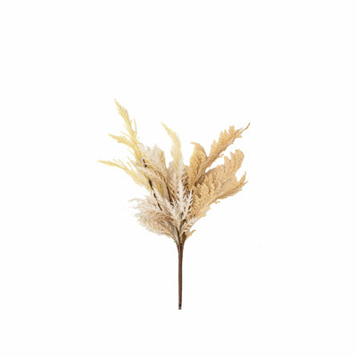 Bodhi Accessories Delyn dry Grass Bouquet - Small House of Isabella UK