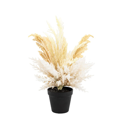 Bodhi Accessories Palmer Potted Dry Grass House of Isabella UK