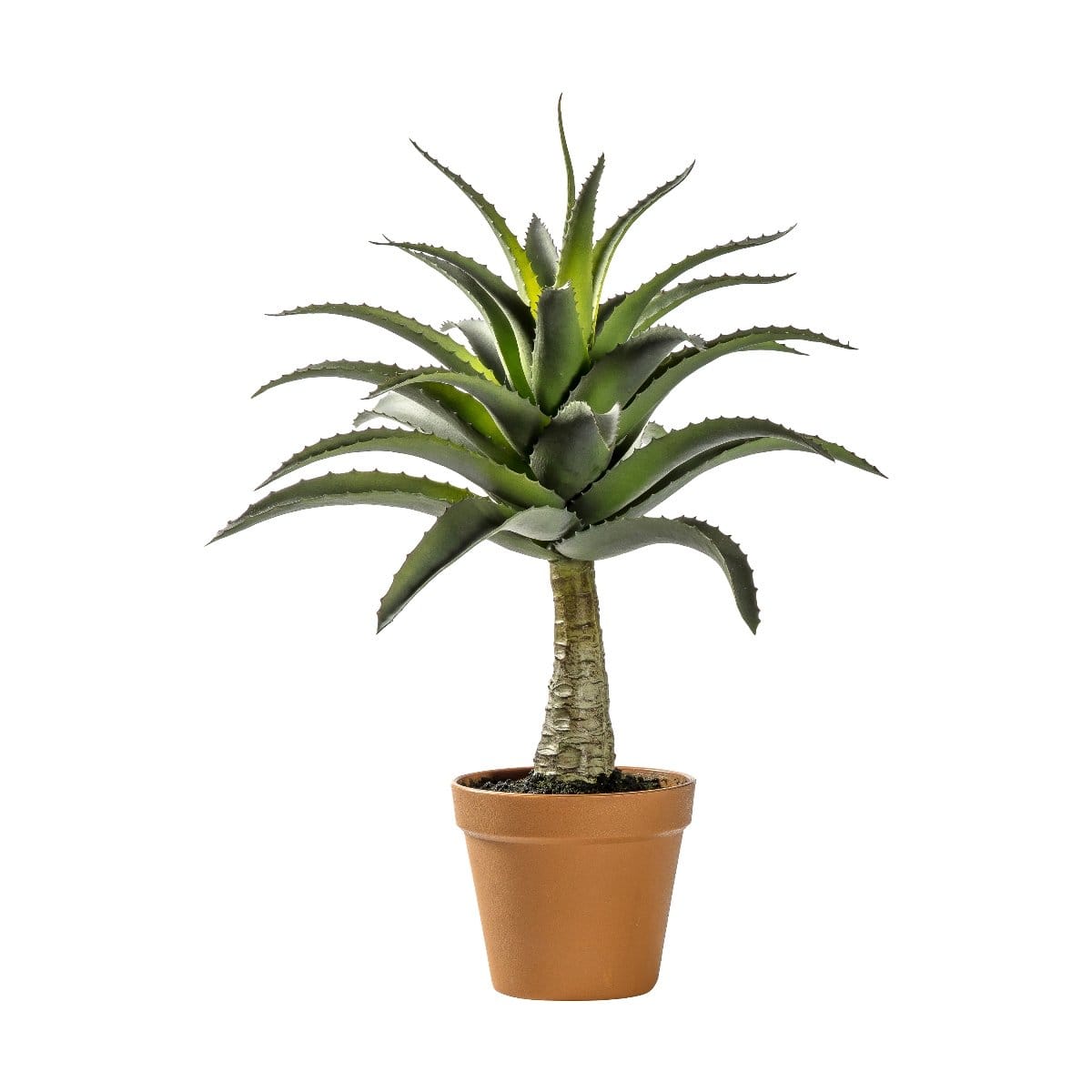 Bodhi Accessories Potted Agave House of Isabella UK