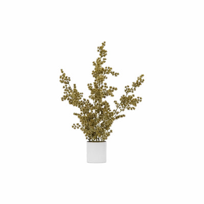 Bodhi Accessories Potted Cedar Pine Gold House of Isabella UK