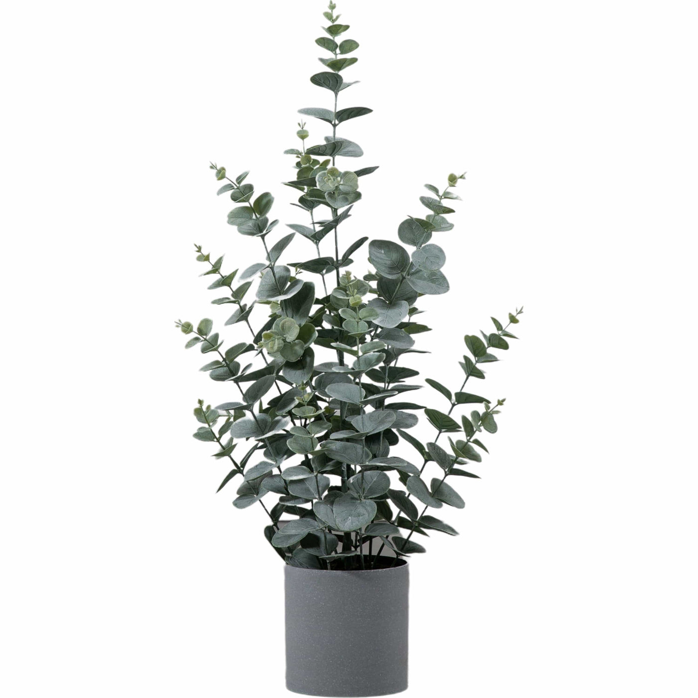 Bodhi Accessories Potted Eucalyptus Bush Green Large House of Isabella UK