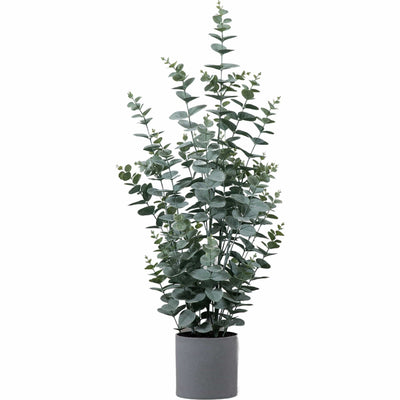 Bodhi Accessories Potted Eucalyptus Bush Green Large House of Isabella UK