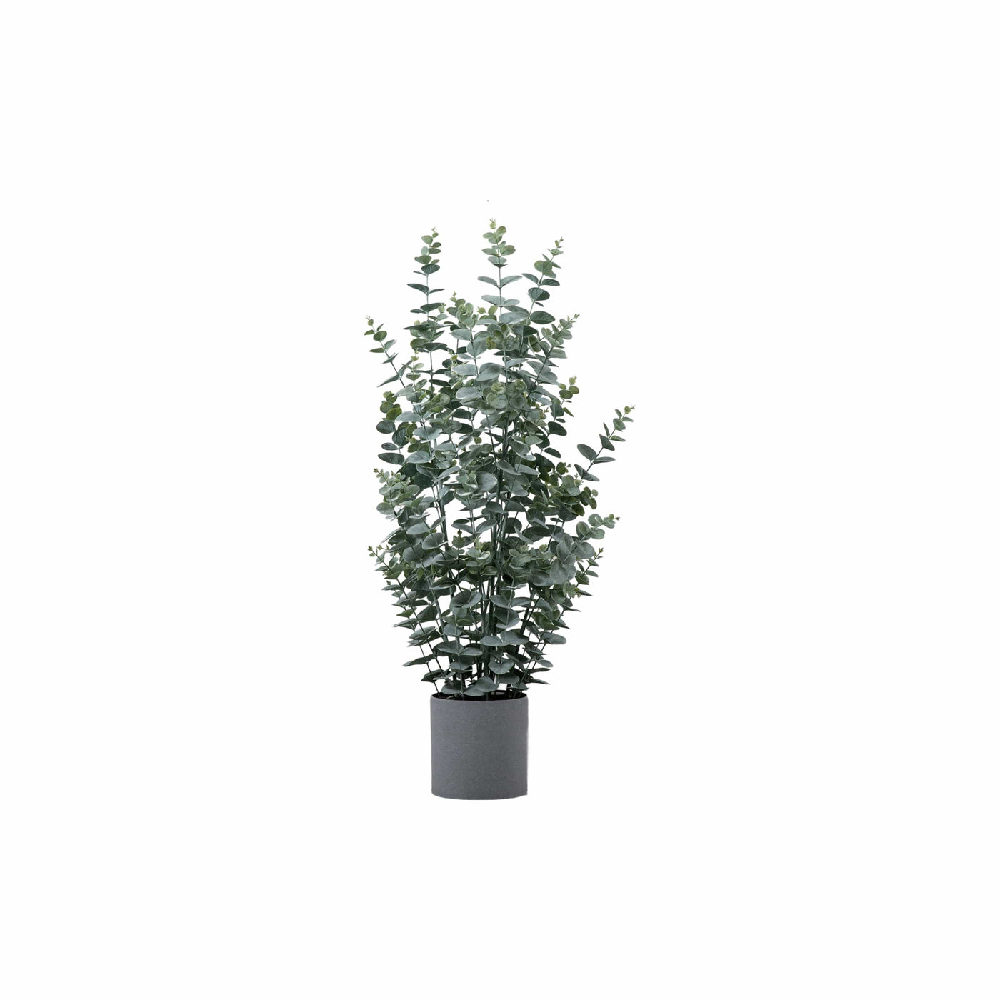 Bodhi Accessories Potted Eucalyptus Bush Green Small House of Isabella UK
