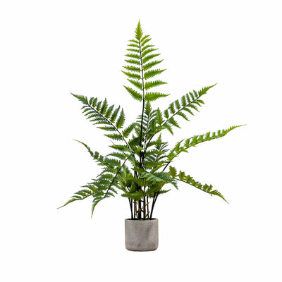 Bodhi Accessories Potted Fern in Cement Pot House of Isabella UK