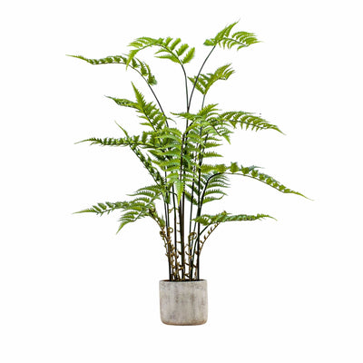 Bodhi Accessories Potted Fern in Cement Pot House of Isabella UK