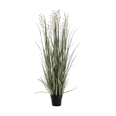 Bodhi Accessories Potted Grass with 3 Heads Green/Russet House of Isabella UK
