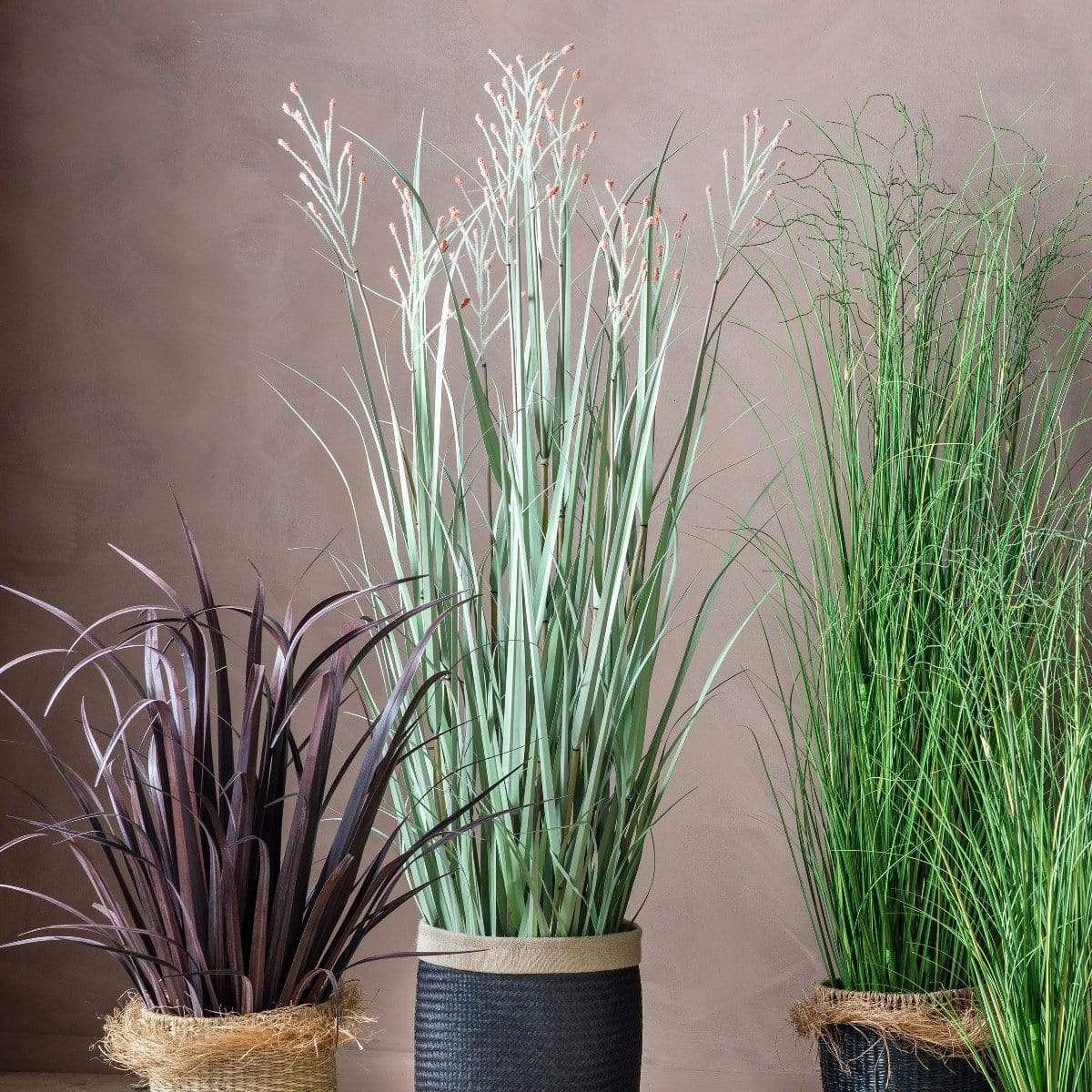 Bodhi Accessories Potted Grass with 3 Heads Green/Russet House of Isabella UK