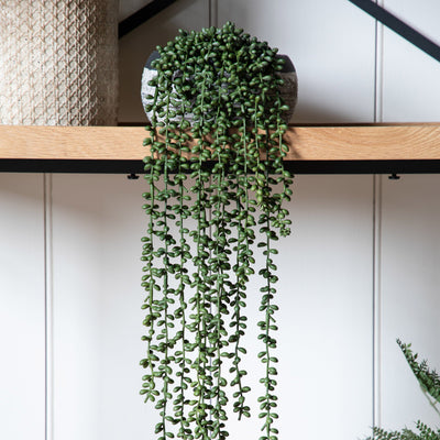 Bodhi Accessories String of Pearls in Soil House of Isabella UK