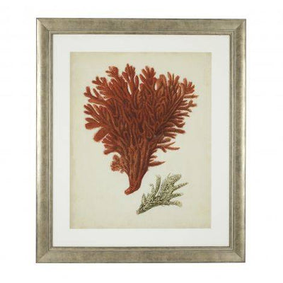 Eichholtz, Framed Prints Antique red corals set of 6 - House of Isabella UK