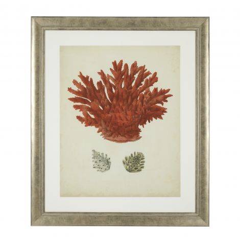 Eichholtz, Framed Prints Antique red corals set of 6 - House of Isabella UK