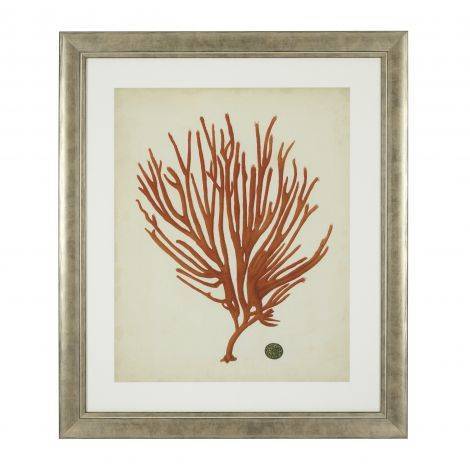 Eichholtz Accessories Framed Prints Antique red corals set of 6 House of Isabella UK