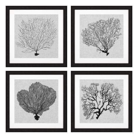 Eichholtz Accessories Framed Prints Shadow Sea Fans set of 4 House of Isabella UK