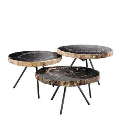 Eichholtz Living Coffee Table De Soto - Dark Range with Black Legs - Set of 3 House of Isabella UK