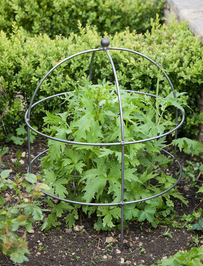Garden Trading Accessories Barrington Domed Plant Support - Large House of Isabella UK