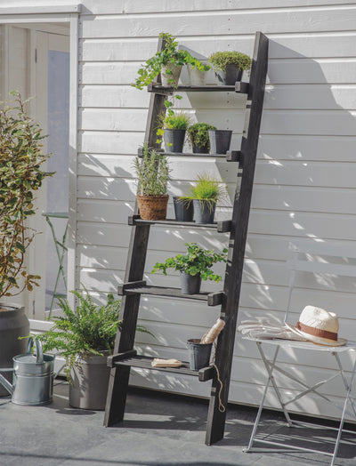 Garden Trading Accessories Moreton Slatted Shelf Ladder House of Isabella UK