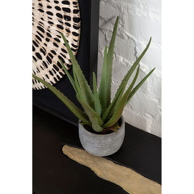 Hamilton Interiors Accessories Fiori Large Aloe Vera With Cement Pot House of Isabella UK