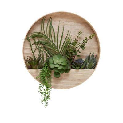 Hamilton Interiors Accessories Fiori Mixed Succulents In Wood Wall Planter House of Isabella UK