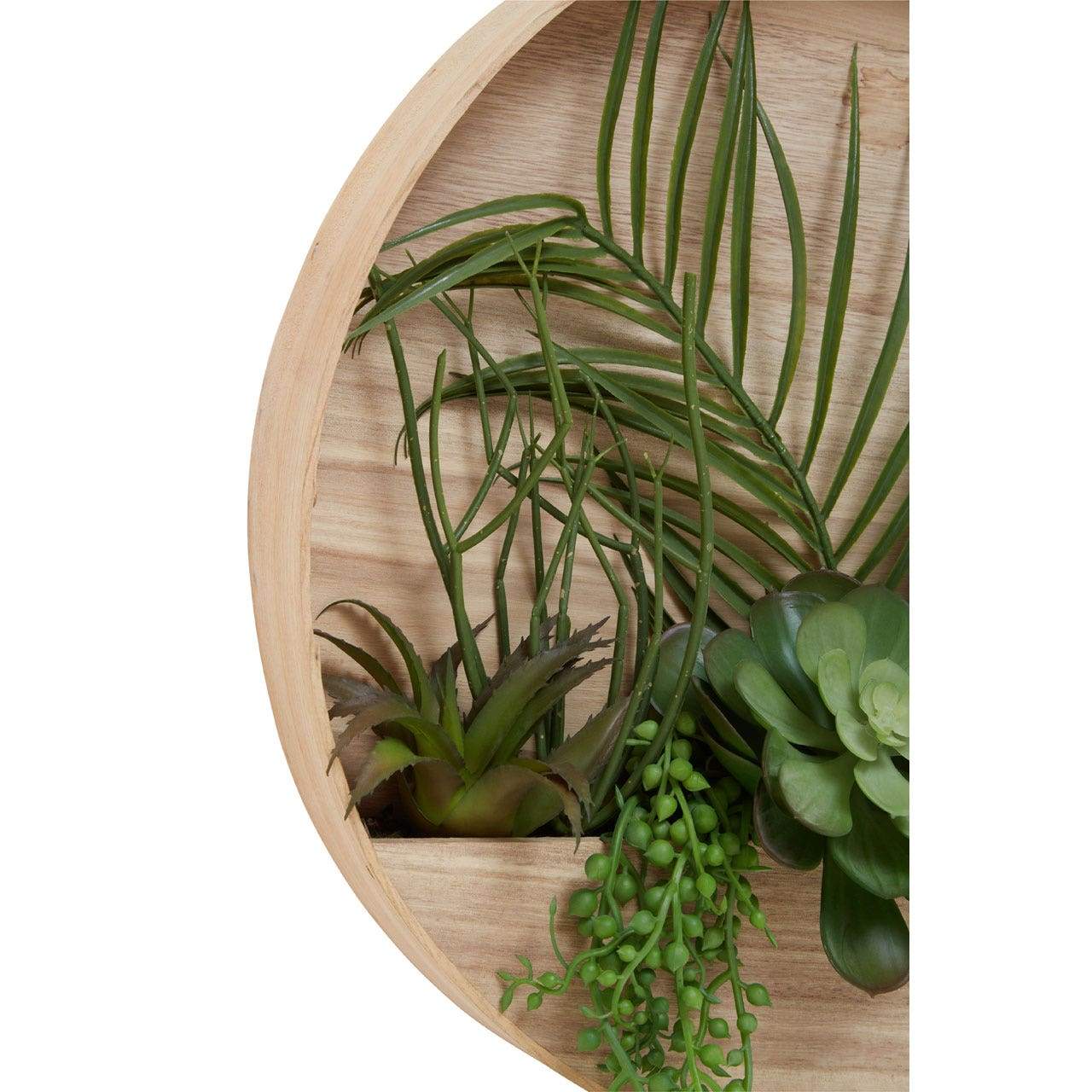 Hamilton Interiors Accessories Fiori Mixed Succulents In Wood Wall Planter House of Isabella UK