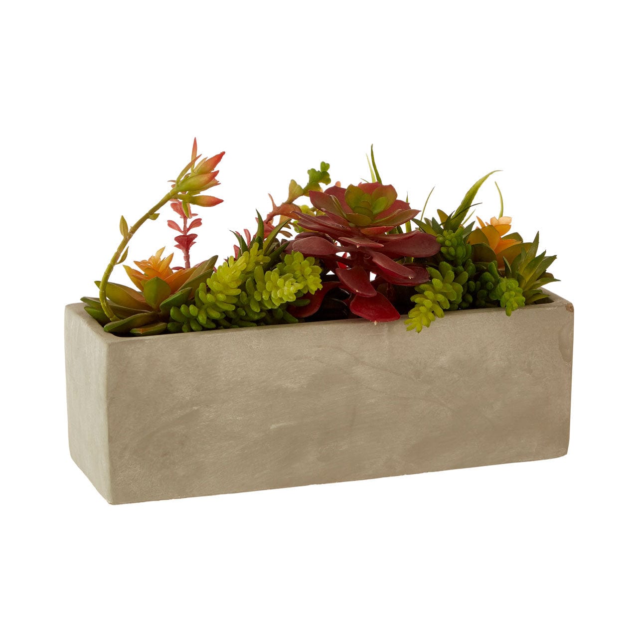 Hamilton Interiors Accessories Fiori Mixed Succulents With Cement Pot House of Isabella UK
