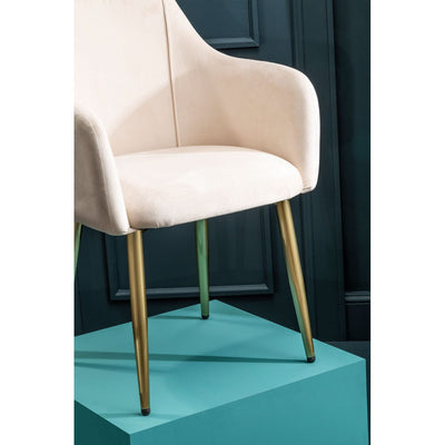 Hamilton Interiors Dining Darcy Stone Velvet Dining Chair House of Isabella UK