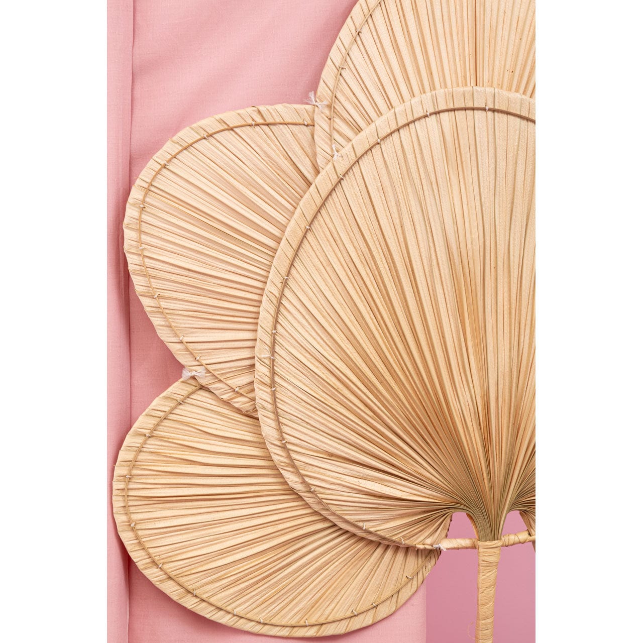 Hamilton Interiors Gifts & Hampers Balta Natural Palm Leaf Fan House of Isabella UK