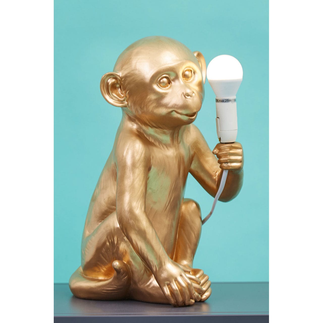 Hamilton Interiors Lighting Boho Monkey Lamp House of Isabella UK