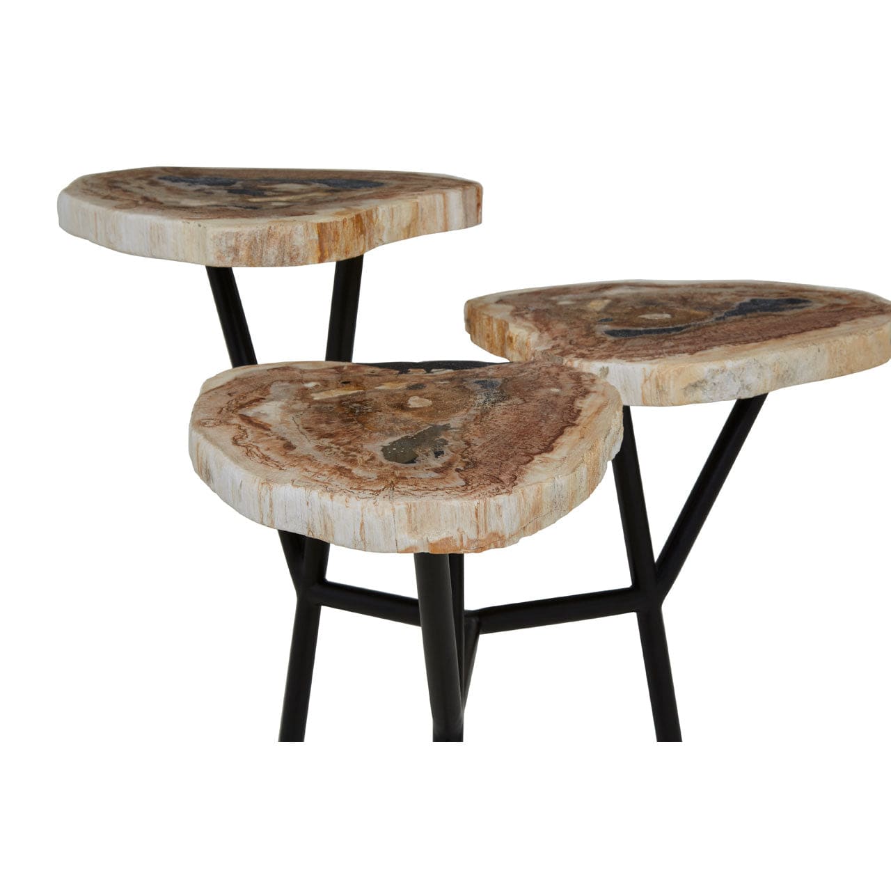 Hamilton Interiors Living Relic Side Table With Petrified Wood Top House of Isabella UK