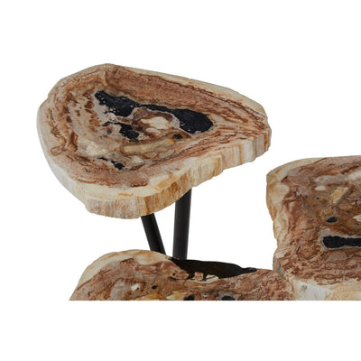 Hamilton Interiors Living Relic Side Table With Petrified Wood Top House of Isabella UK