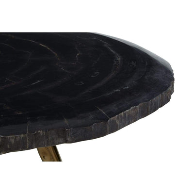 Hamilton Interiors Living Riley Coffee Table with Petrified Wood Top House of Isabella UK