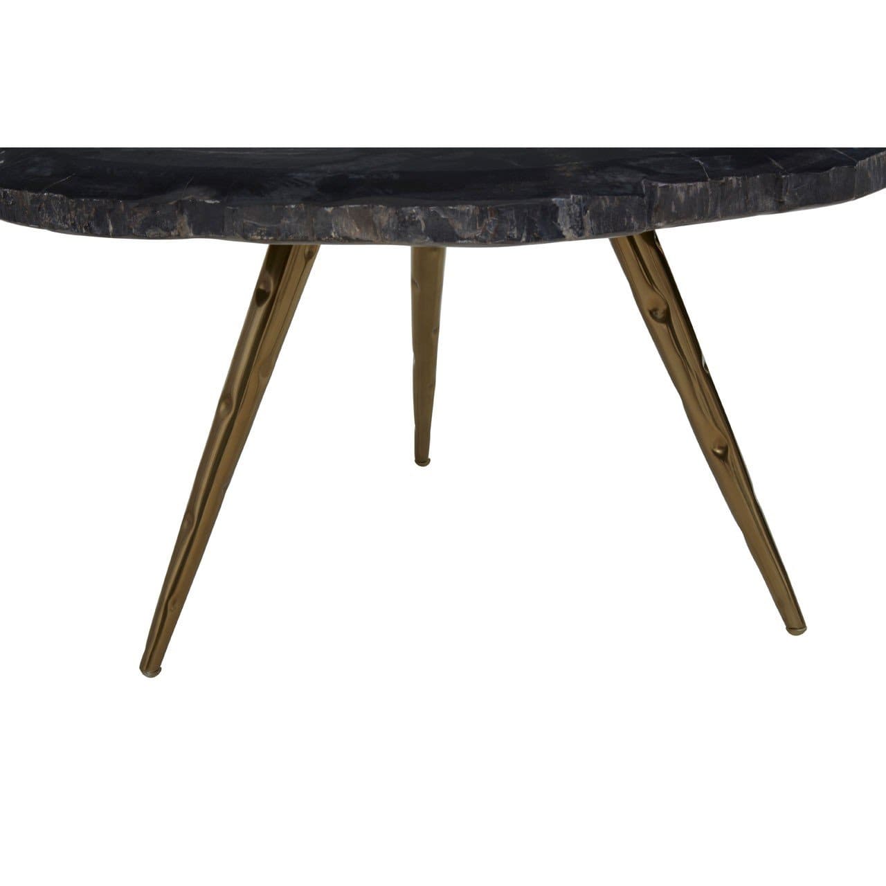 Hamilton Interiors Living Riley Coffee Table with Petrified Wood Top House of Isabella UK