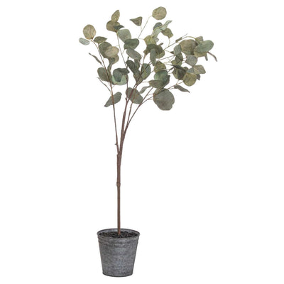 Hill Interiors Accessories Eucalyptus Tree In Metalic Pot House of Isabella UK
