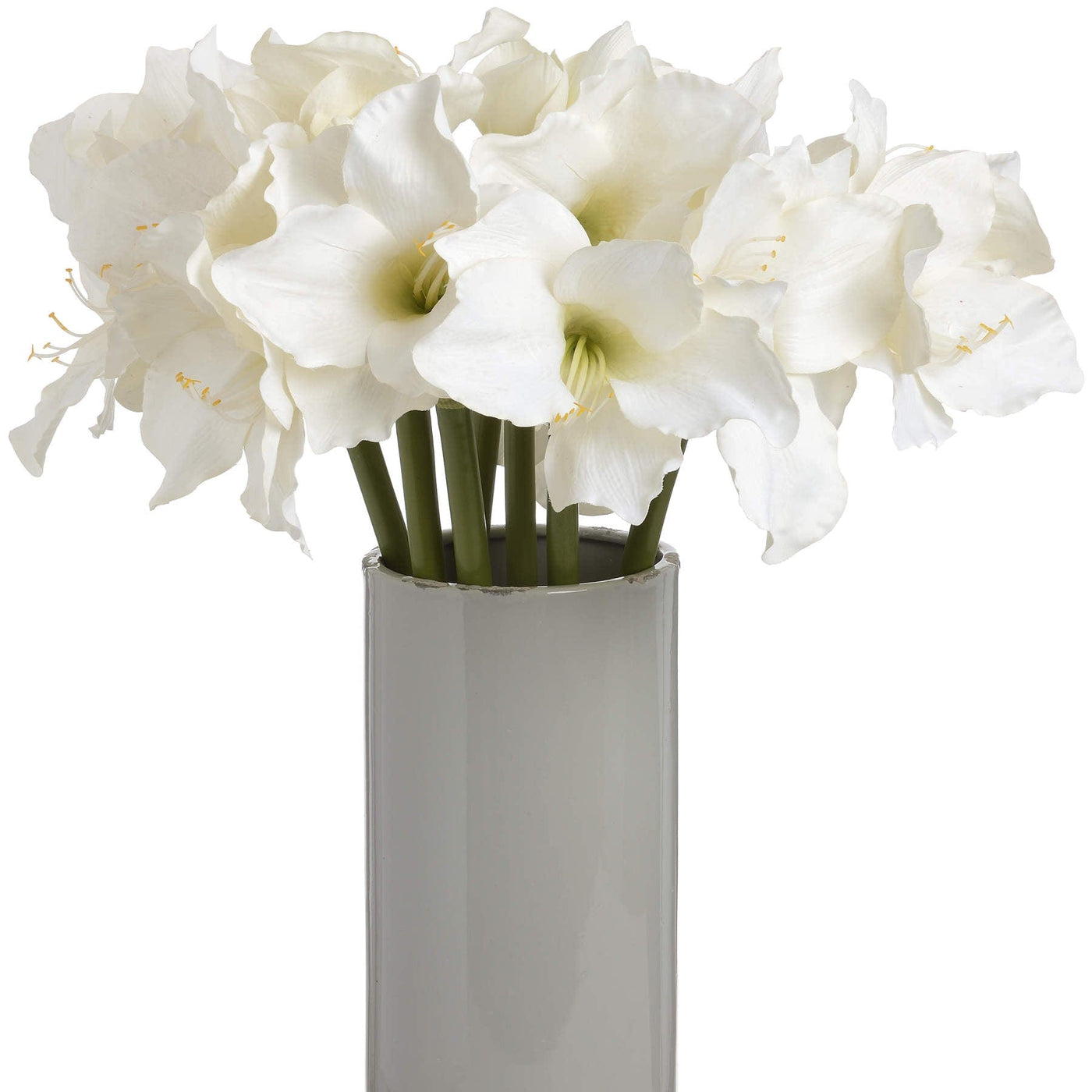 Hill Interiors Gifts & Hampers Classic White Amaryllis Flower House of Isabella UK