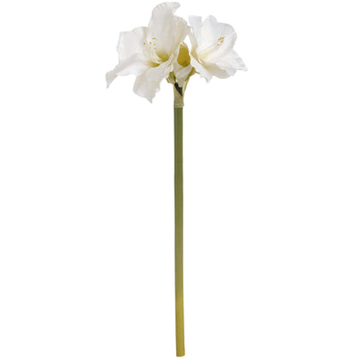 Hill Interiors Gifts & Hampers Classic White Amaryllis Flower House of Isabella UK