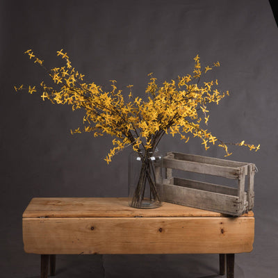 Hill Interiors Gifts & Hampers Forsythia House of Isabella UK