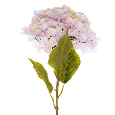 Hill Interiors Gifts & Hampers Giant Pink Hydrangea House of Isabella UK