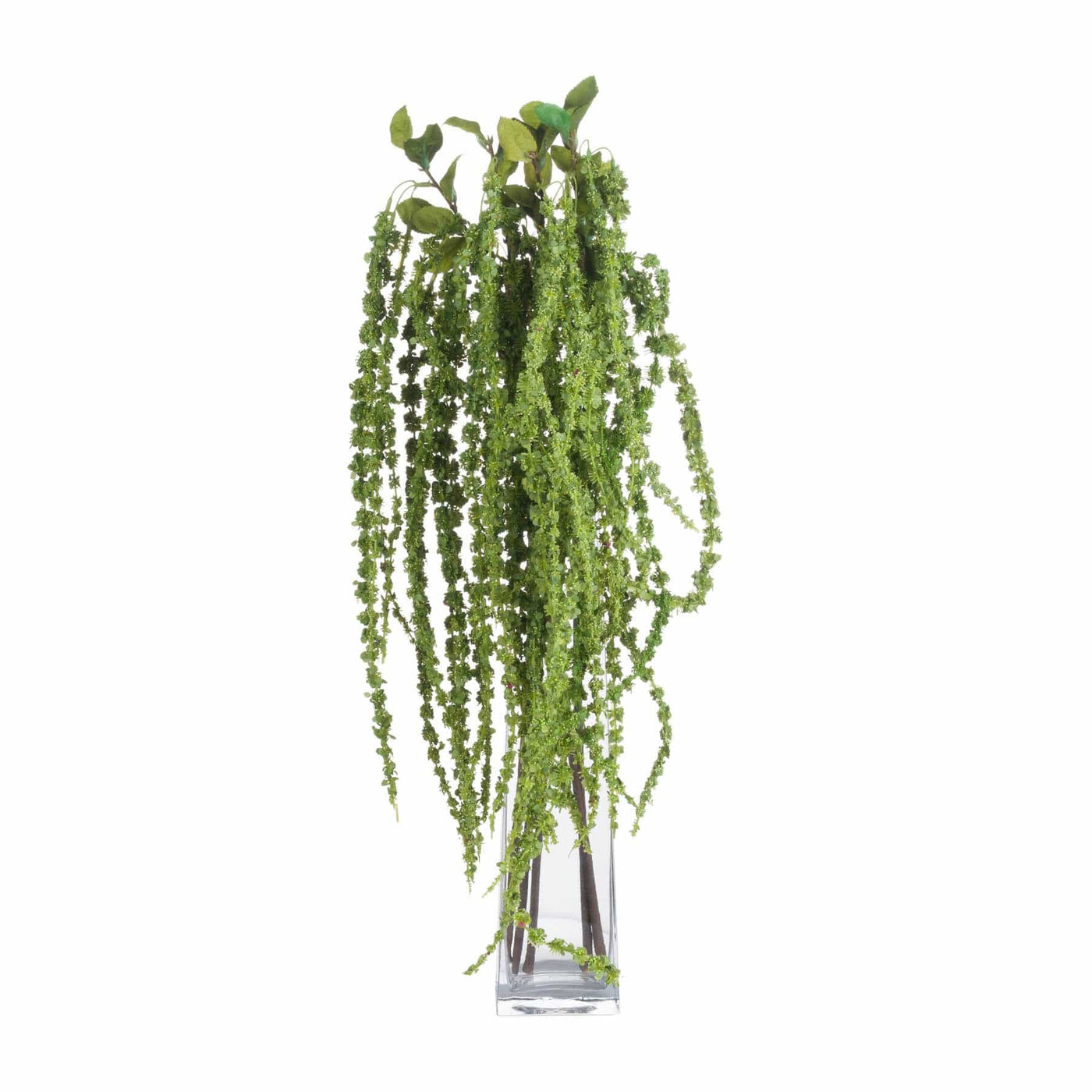 Hill Interiors Gifts & Hampers Green Amaranthus House of Isabella UK