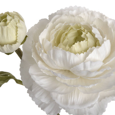 Hill Interiors Gifts & Hampers White Ranunculus Spray House of Isabella UK