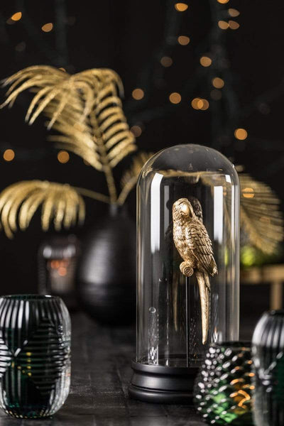 Light & Living Accessories Pack of 6 x Ornaments in glass bell 14x30 cm PARROT black+gold House of Isabella UK