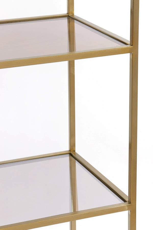 Light & Living Living Cabinet 5L 110x40x180 cm MARIKI glass brown-light gold House of Isabella UK
