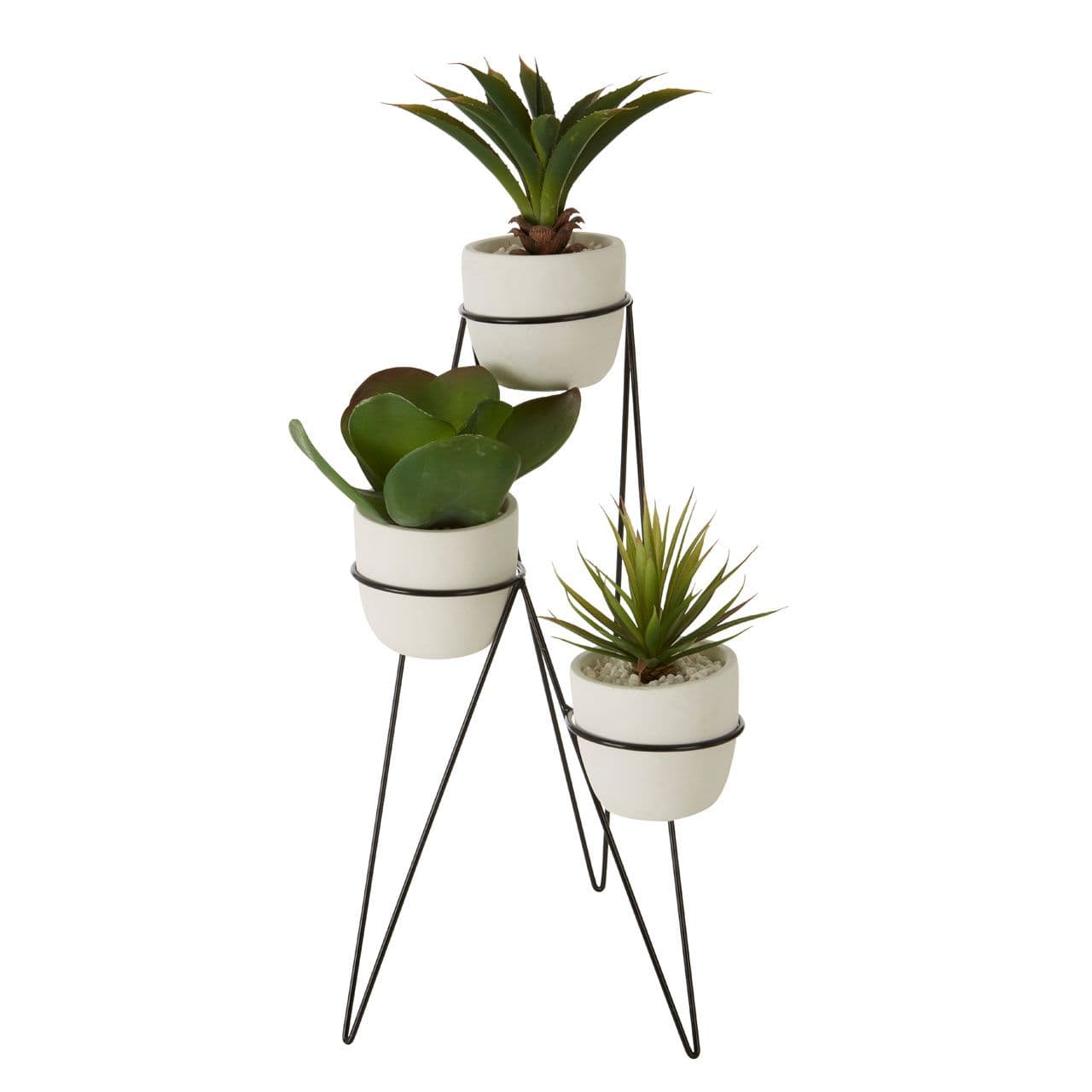 Noosa & Co. Accessories Fiori Set Of 3 Succulents With Metal Stand House of Isabella UK