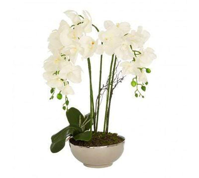 Noosa & Co. Accessories Polly White Orchid Plant Natural Ceramic Pot House of Isabella UK