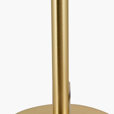 Pacific Lifestyle Lighting Arabella Smoked Glass Orb and Gold Metal Table Lamp House of Isabella UK