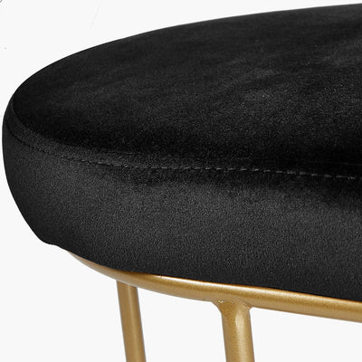 Pacific Lifestyle Living Nino Black Velvet Bench with Gold Metal Frame House of Isabella UK